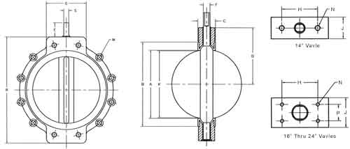 C10N Dimensions